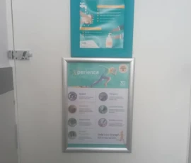 IMG-20251031-WA0018 IMG-20251031-WA0018