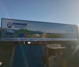 Madlangemphisi Madlangemphisi